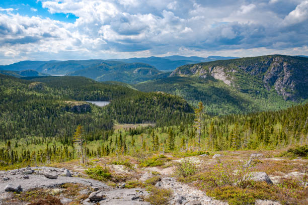 el bosque boreal que rodea las montañas en charlevoix - forest tundra fotografías e imágenes de stock