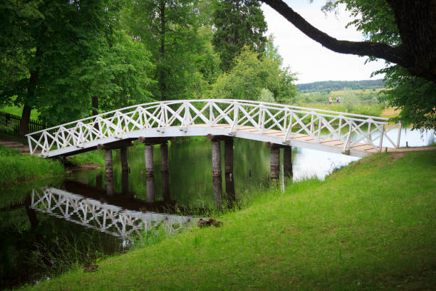 pont en bois blanc sur la rivière dans le domaine pouchkine mikhailovskoe. pushkinskiye gory, russie - pushkin photos et images de collection