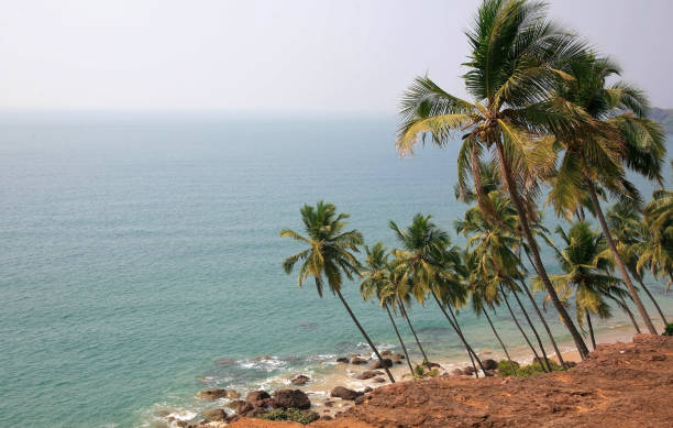 coqueiros sobre o mar na praia de cabo de rama em goa índia - goa beach india green - fotografias e filmes do acervo