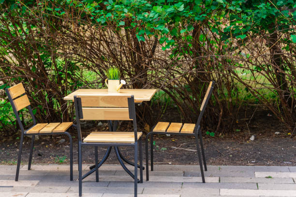 istock Table and chairs with grass in a decorative watering can under the open sky. 1338095751