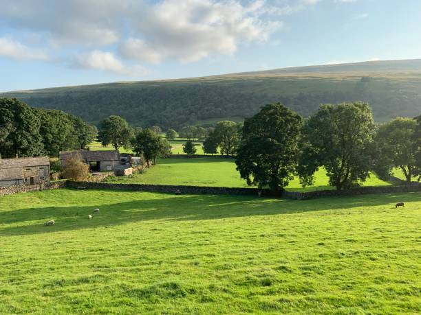 istock Landscape in the Yorkshire Dales 1338096534