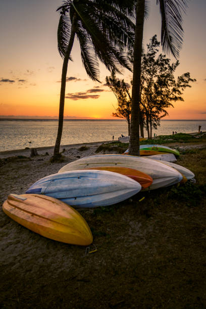 Paddle boards at sunset on Reunion Island