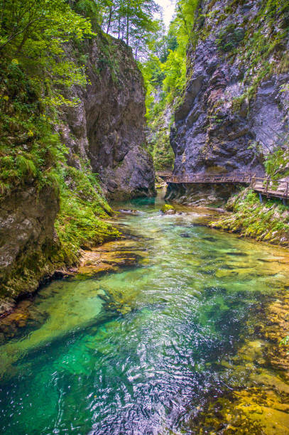 istock the beautiful vintgar gorge with footpath in summer 1338102556