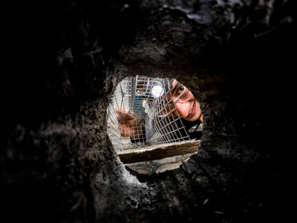 istock Pest Hunter Setting up a Mouse Trap at the Hideout Entrance 1338104099