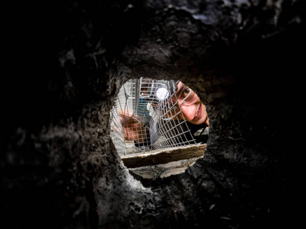 caçador de pragas montando uma armadilha de rato na entrada do esconderijo - família da doninha - fotografias e filmes do acervo