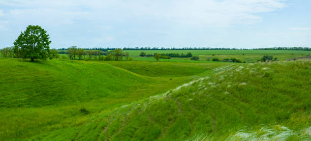 istock alone tree among green hills, quiet countryside scene 1338105695