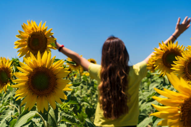 istock Girl in sunflowers 1338108517