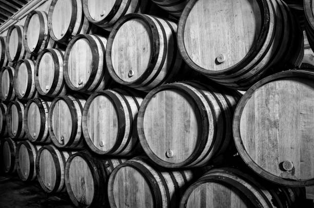 istock Wine barrels or whiskey in the cellar in white and black 1338111674