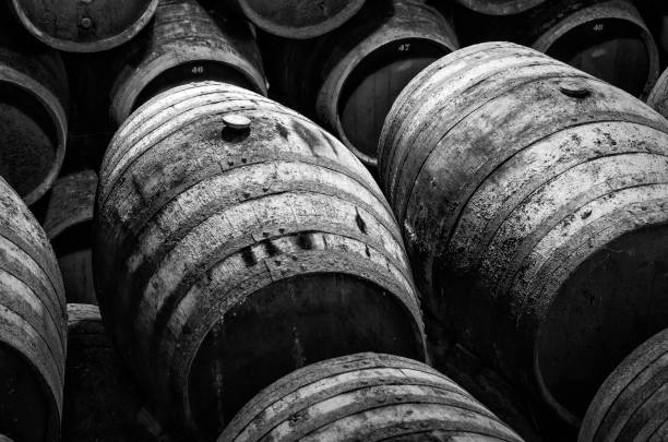Barrels stacked in winery in white and black stock photo