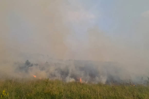 istock Fire in the swamp in front of the forest. Yauta 1338113672