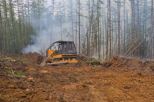 Medidas de prevención de incendios, La excavadora hace mucho en el bosque. photo