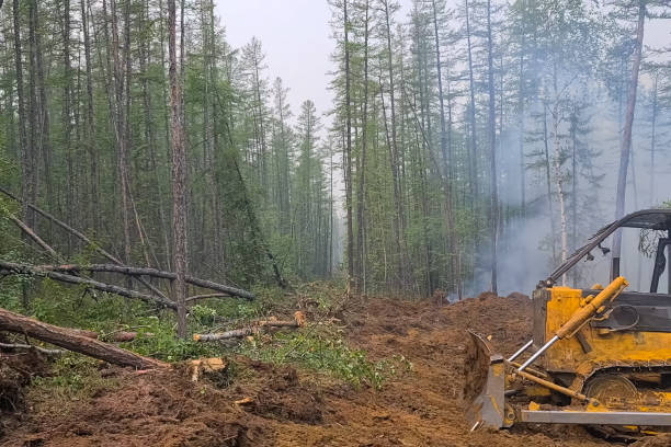 istock Fire prevention measures, The bulldozer makes a lot into the for 1338113707