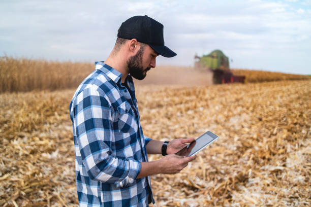 istock Man in a corn plantation. Researcher. 1338114013