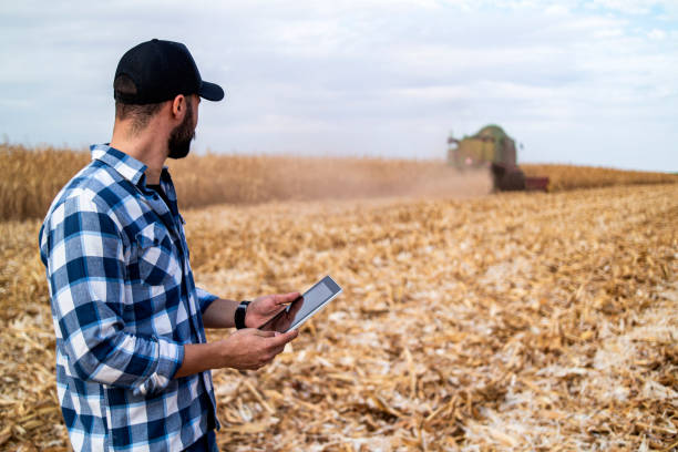 istock Man in a corn plantation. Researcher. 1338114042