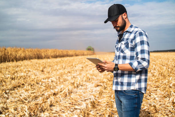 istock Man in a corn plantation. Researcher. 1338114051