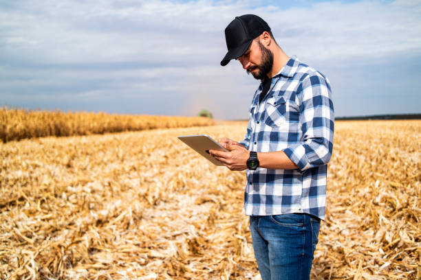 istock Man in a corn plantation. Researcher. 1338114096