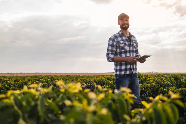 человек на кофейной плантации. исследователь. - farmer rural scene laptop computer стоковые фото и изображения