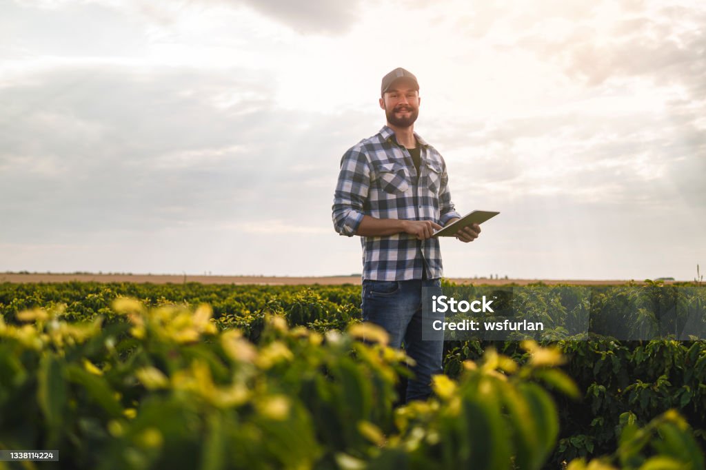Man in a coffee plantation. Researcher. Photo of a man in a coffee plantaction. Researcher. Agriculture Stock Photo