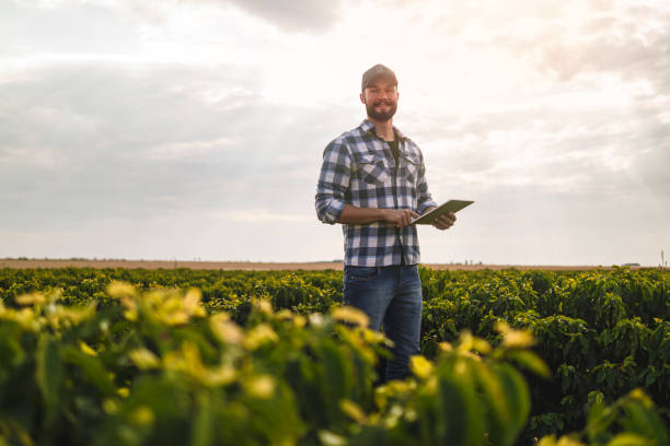 człowiek na plantacji kawy. badacz. - agriculture zdjęcia i obrazy z banku zdjęć