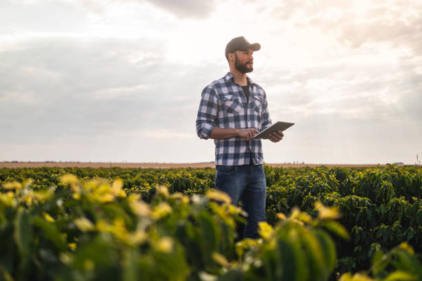 istock Man in a coffee plantation. Researcher. 1338114242