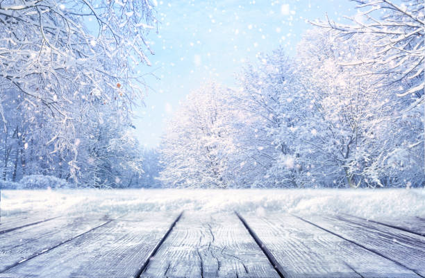 istock Winter Christmas scenic landscape. 1338114905