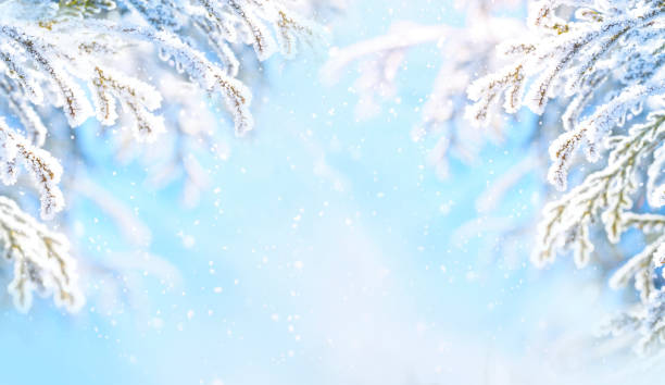 istock Snow landscape with spruce branches covered with snow and falling snow on nature. 1338114989