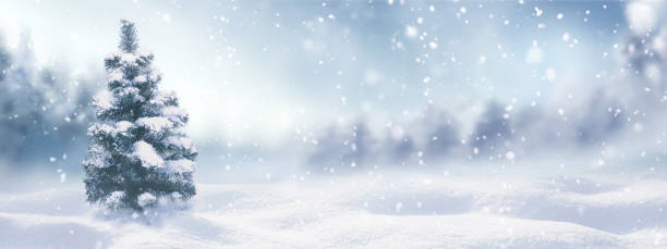 istock Beautiful winter snowy background. 1338115068