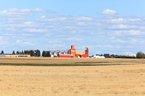 Distant Grain Elevator grain silos and out buildings in a late summer prairie landscape. Vulcan Alberta