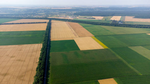 istock Aerial drone view flight over different yellow and green agricultural fields 1338116344