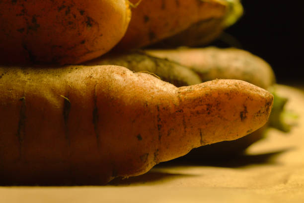 istock stacked unwashed carrots side view close up 1338119479