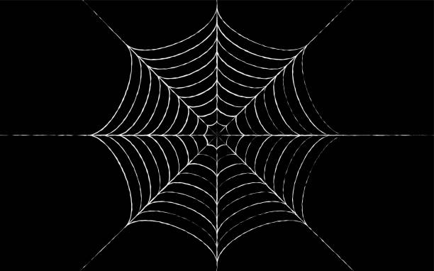 für halloween und horror designs spinnennetz, schwarzer hintergrund - spinnennetz stock-grafiken, -clipart, -cartoons und -symbole