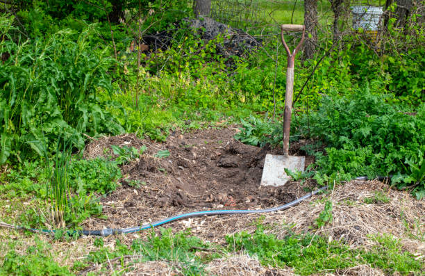 istock Gardening time in Missouri 1338132944