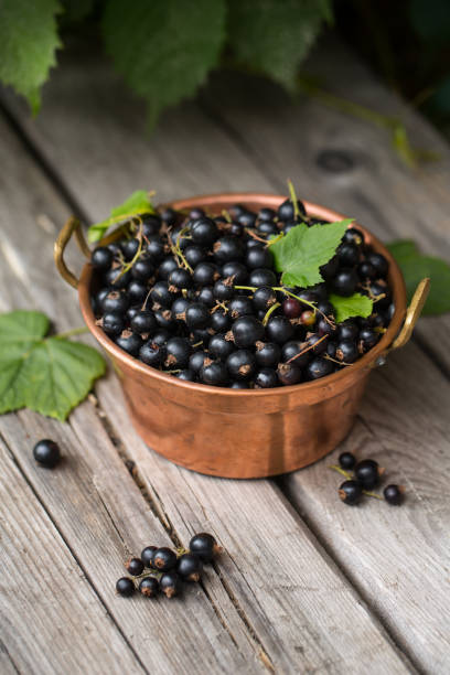 kuvapankkikuvat ja rojaltivapaat kuvat aiheesta mustaherukka kuparikulhossa puutaustalla, marjastus, satokausi - black currant