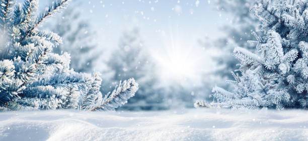 istock Snow-covered fir branches, snowdrift against defocused blurred forest and falling snow. 1338135125