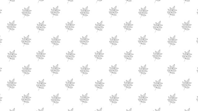 Black thin line animated ash tree leaves icons on a white background. Seamless loop motion graphic pattern with animated leaves in geometric grid