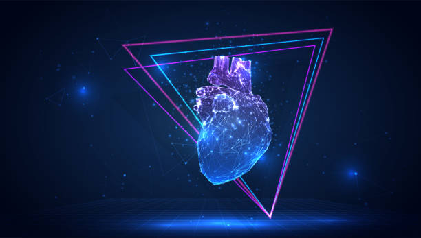 파란색 배경의 삼각형 다각형에서 인간의 심장을 3d 벡터 - human heart flash stock illustrations