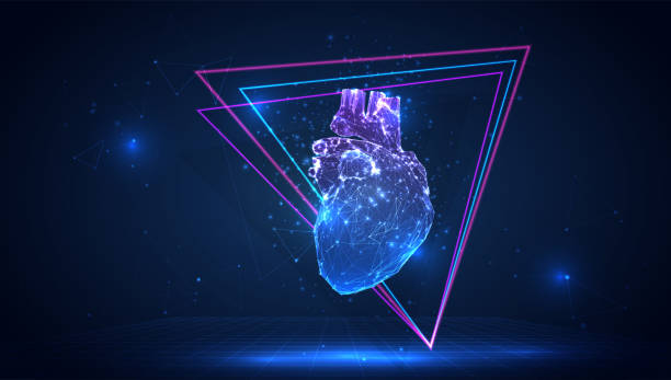 ilustrações de stock, clip art, desenhos animados e ícones de vector 3d human heart from triangular polygons on a blue background - human heart flash