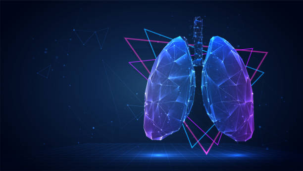 vector 3d lungs made of triangular polygons on a blue background vector art illustration