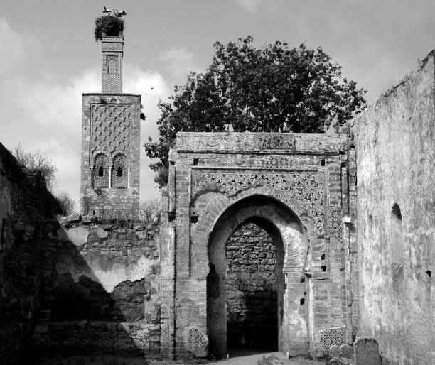 istock Kasbah Chellah in Rabat in Morocco in black and white 1338141459