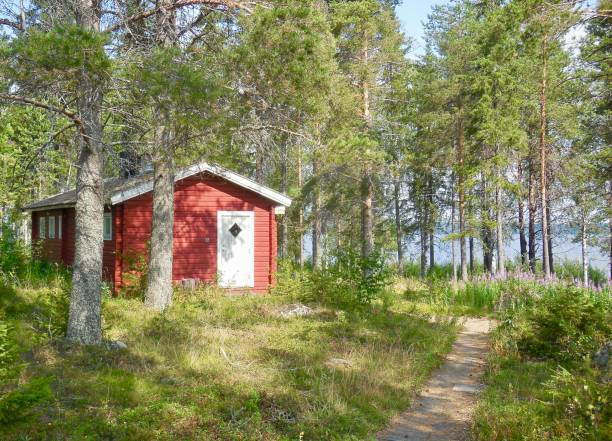 istock Cabin In The Forest In Sweden 1338142701