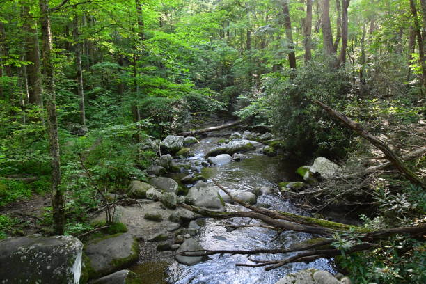 istock Smoky Mountain Landscape 1338146982