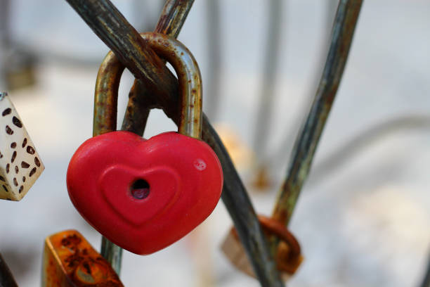 istock Padlock as a symbol of eternal love 1338149943