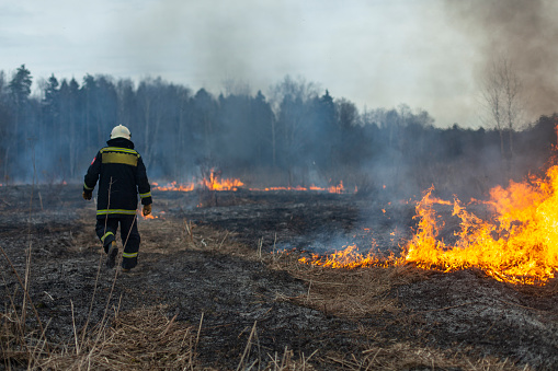 A firefighter extinguishes dry grass. A firefighter is fighting a fire in an open area. Rescuer actions against flames. An ecological catastrophe burns a dry field.