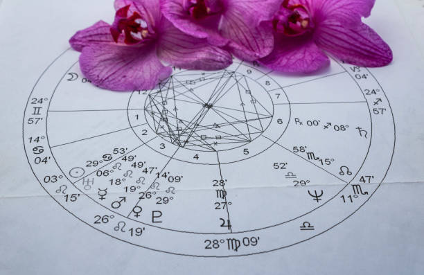istock Printed natal chart with orchids in the background 1338158649