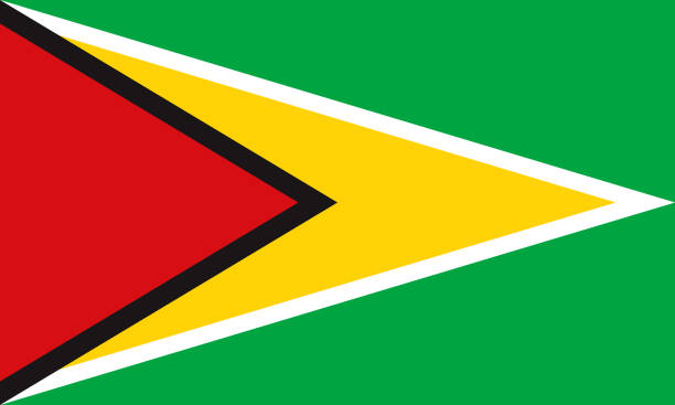 Co‑operative Republic of Guyana Flag - ilustração de arte vetorial