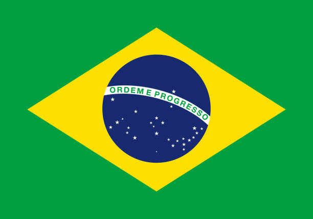 ilustrações, clipart, desenhos animados e ícones de bandeira da república federativa do brasil - carnaval sao paulo