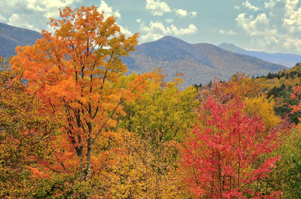 istock Scenic Autumn View from Kancamagus Highway 1338160108