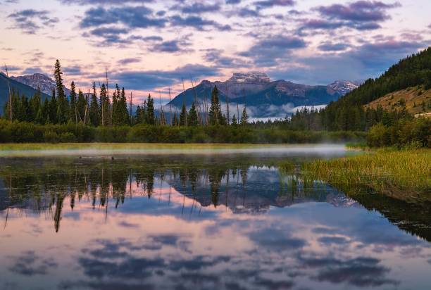 istock Cloudy Sunrise Reflecting On Vermilion Lakes 1338165352