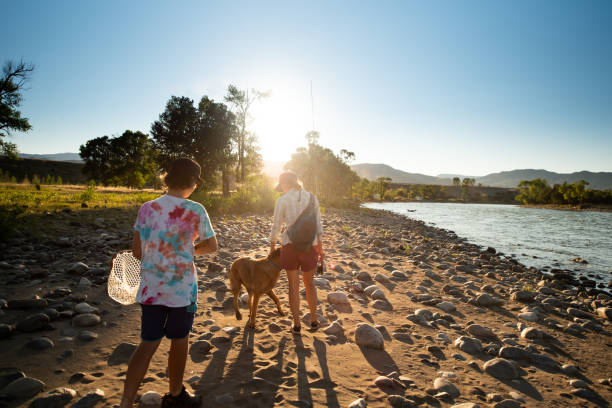 istock Learning to fly fish together in a beautiful open river. 1338172370