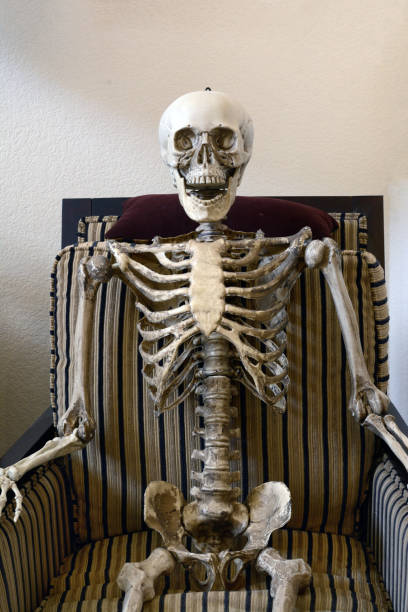 istock Skeleton sitting in armchair 1338175169